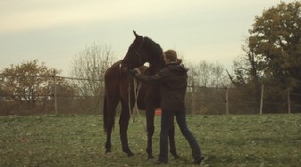 Centre de remise en forme pour chevaux