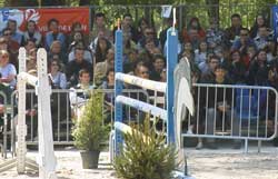 Ma newsletter que je re�ois le 5 de chaque mois en tant que membre de la communaut� internationale des professionnels du cheval