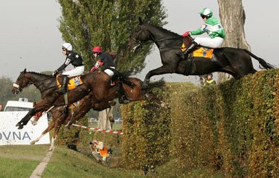 Grand steeple chase de Pardubice (CZ) - Velka Pardubicka