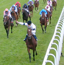 Passer un moment de plaisir, de d&eacute;couverte et d'&eacute;motions aux courses : Prix de l Arc de Triomphe, Prix de Diane, etc.