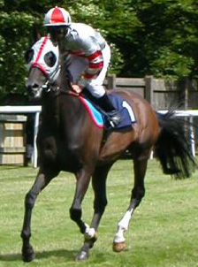 Passer un moment de plaisir aux courses au galop : Prix de l Arc de Triomphe, Prix de Diane, etc.